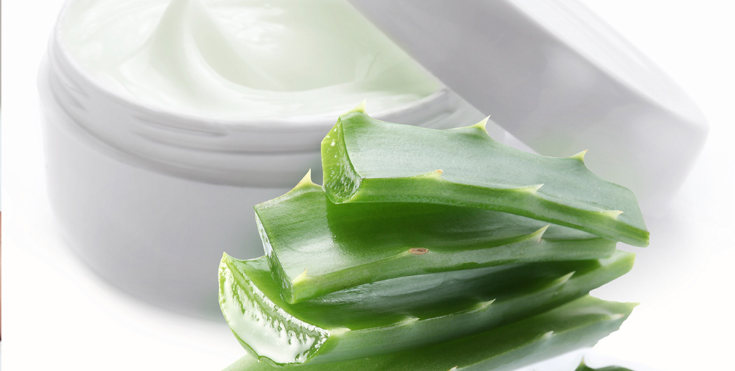 Aloe Vera Skincare: Benefits for Your Chemo Skin