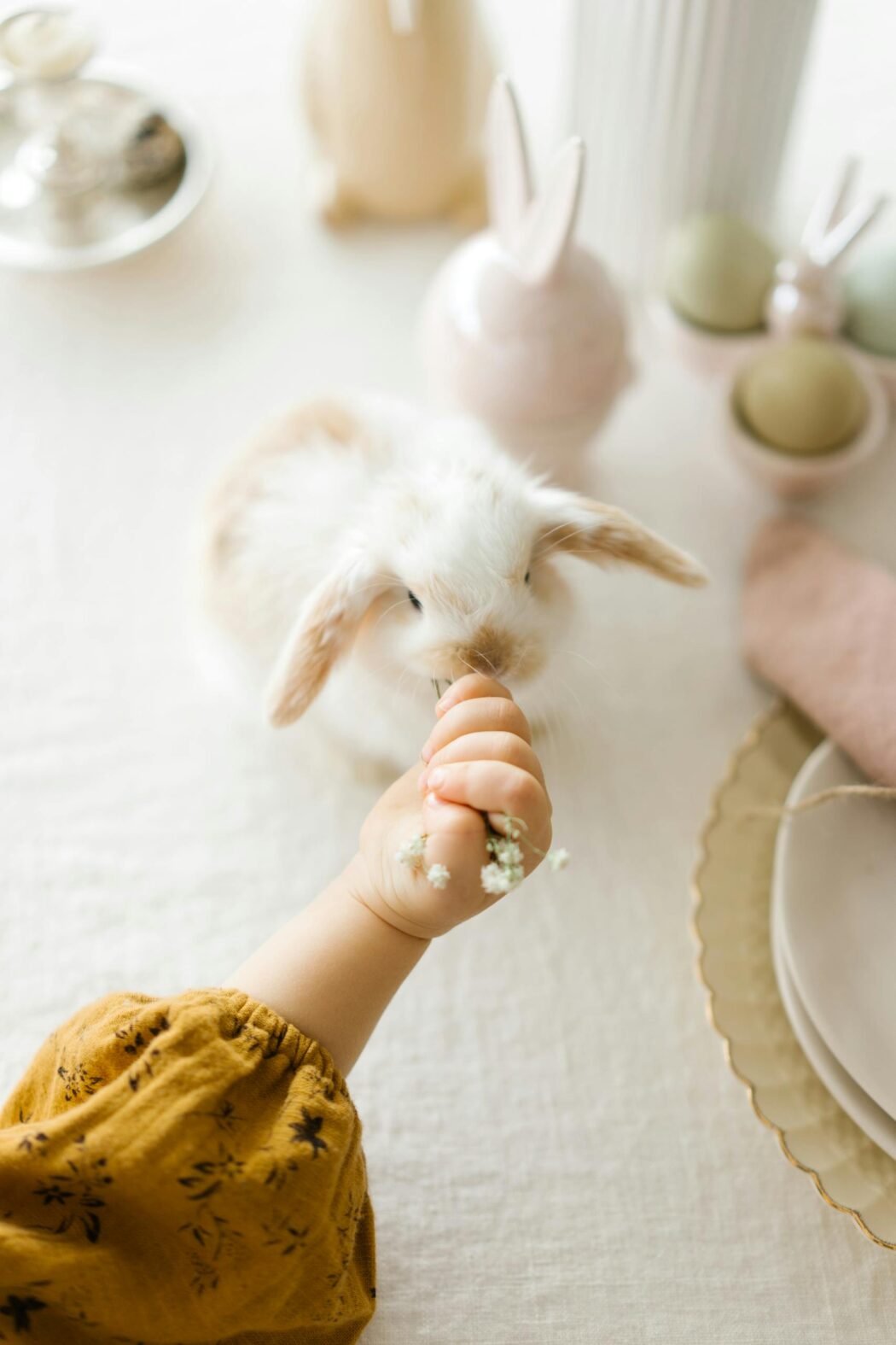 Kids and Pets during Chemotherapy